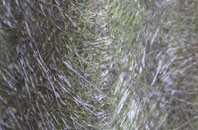 Clenchwarton fibreglass roof work